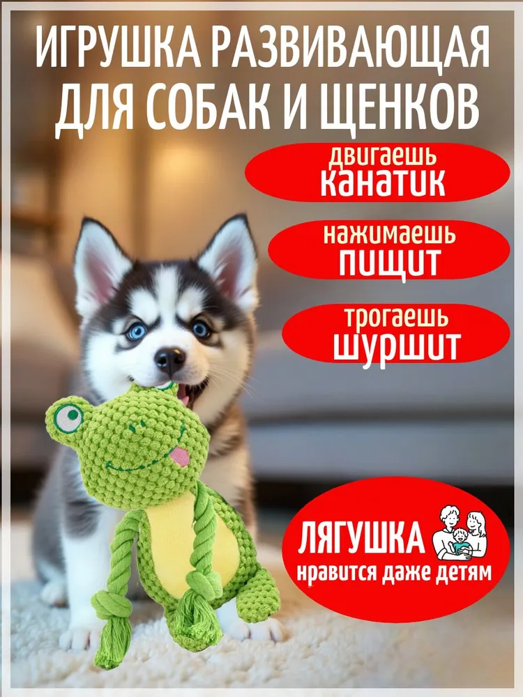 Лягушка