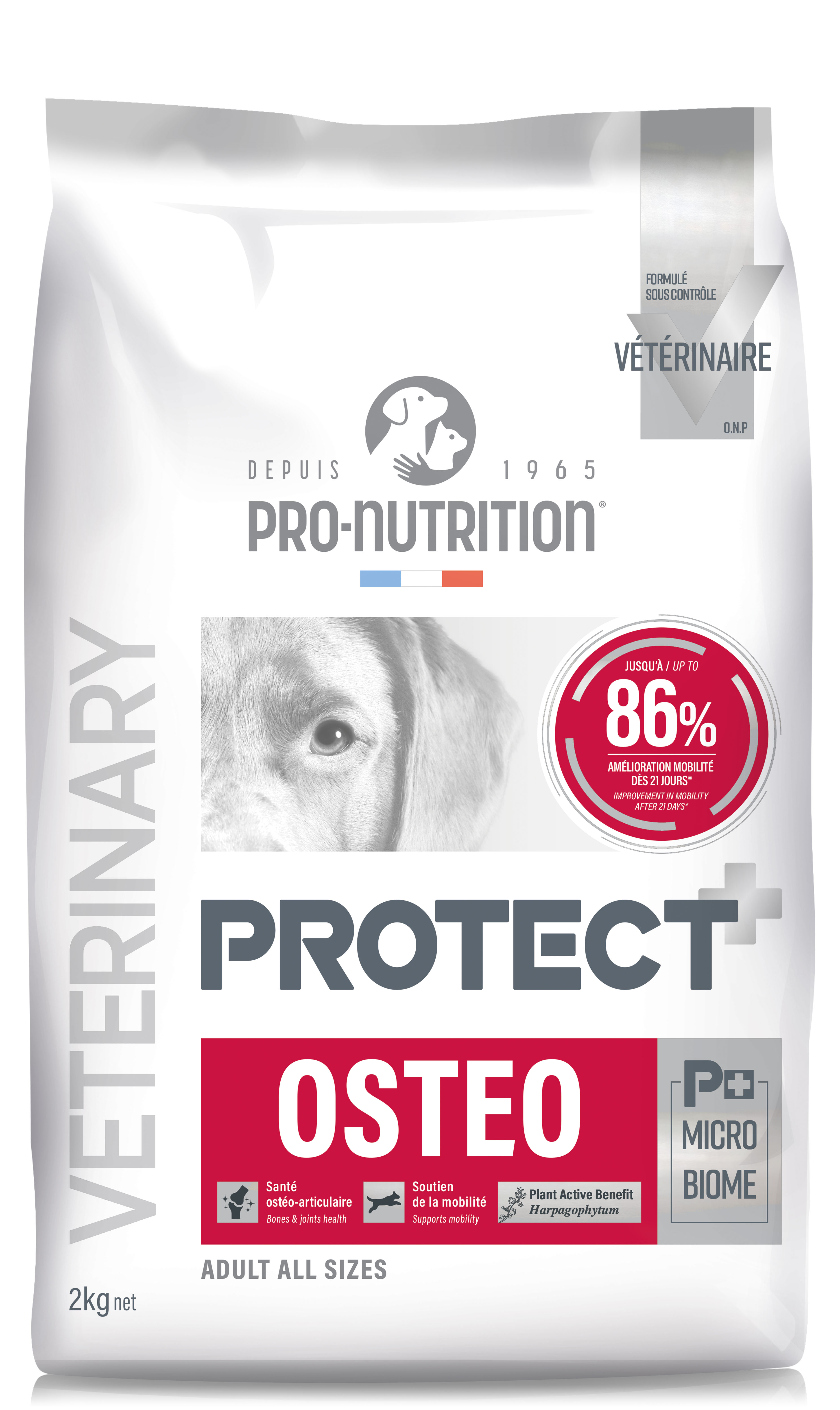 Protect Osteo