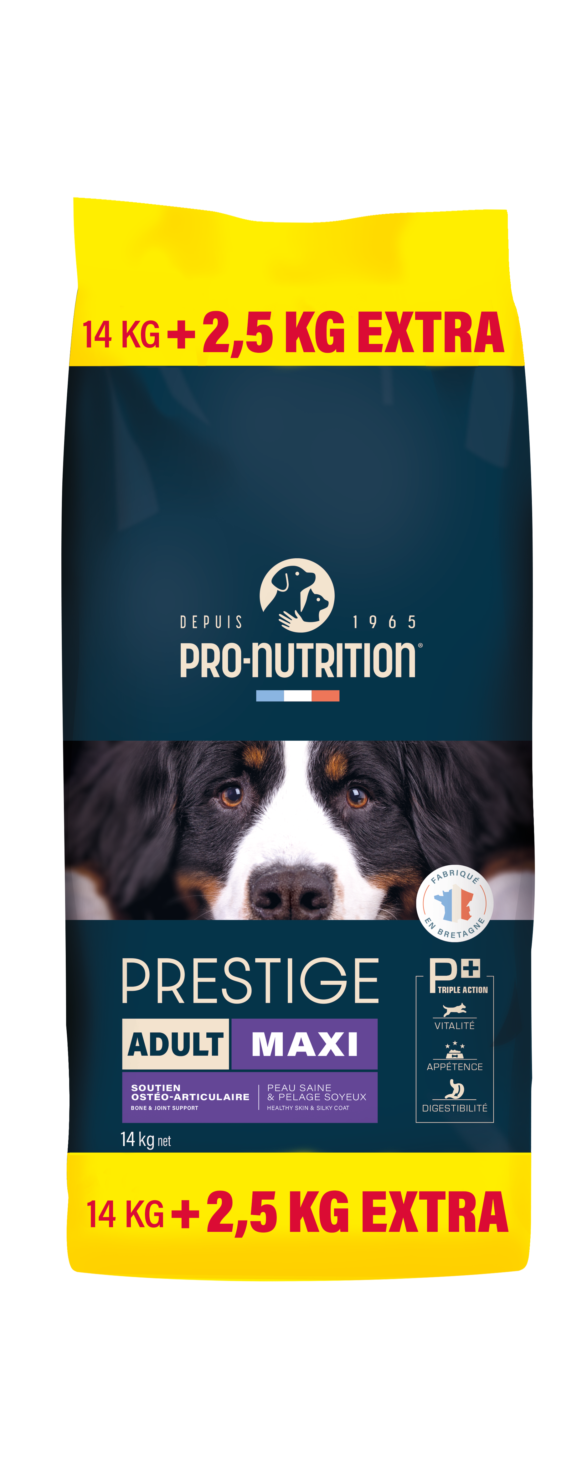 Prestige Maxi Adult