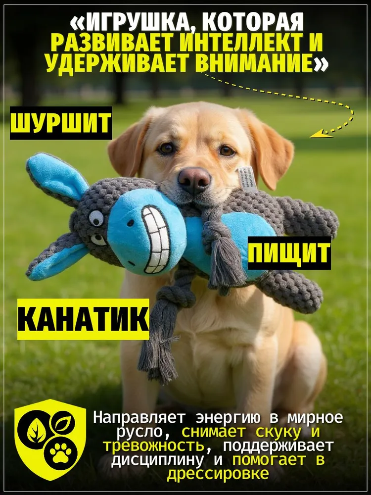 Ослик