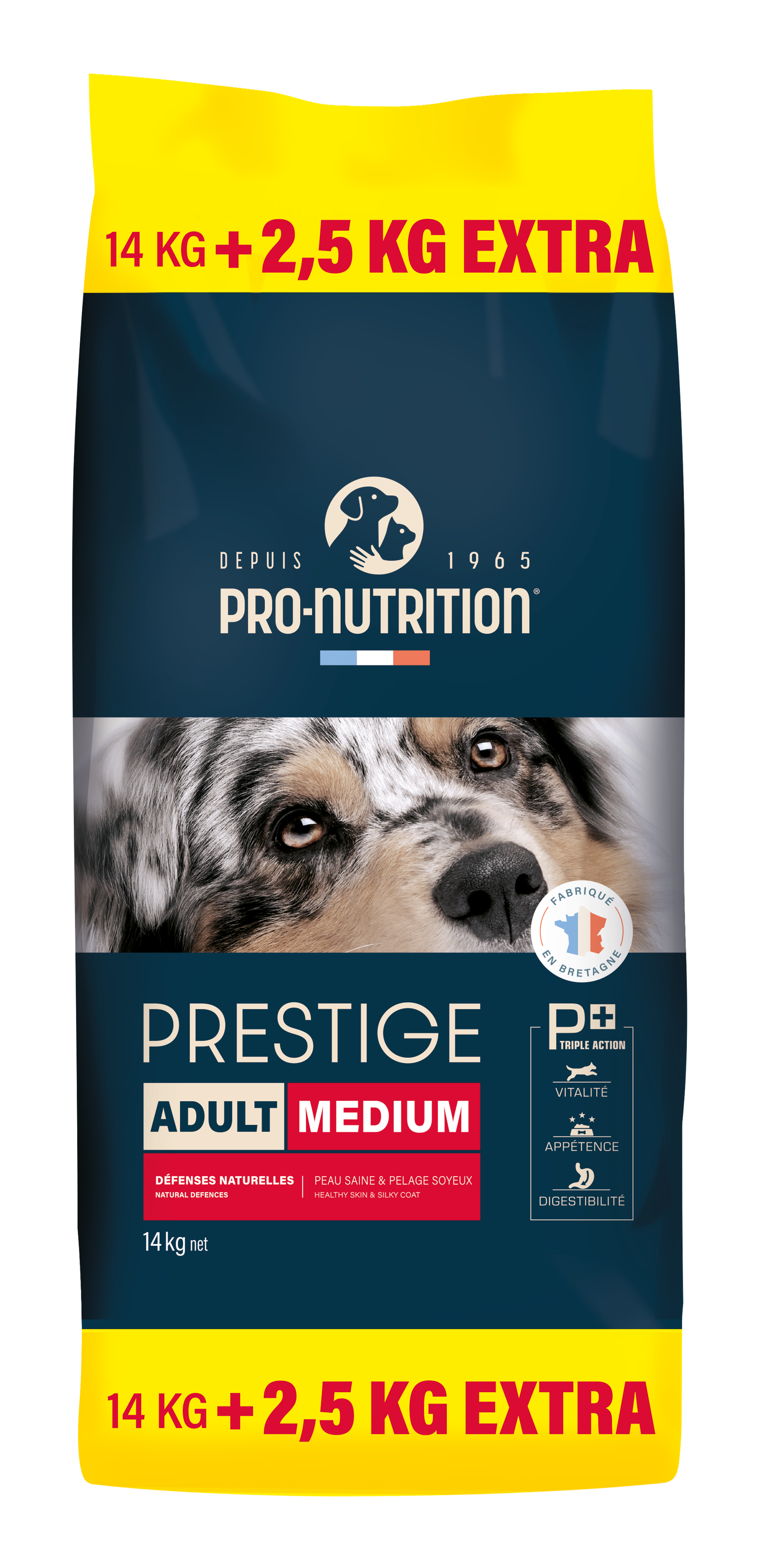 Prestige Adult Medium