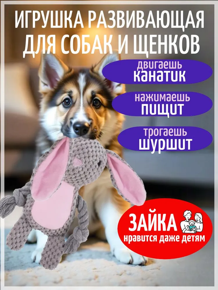 Зайка