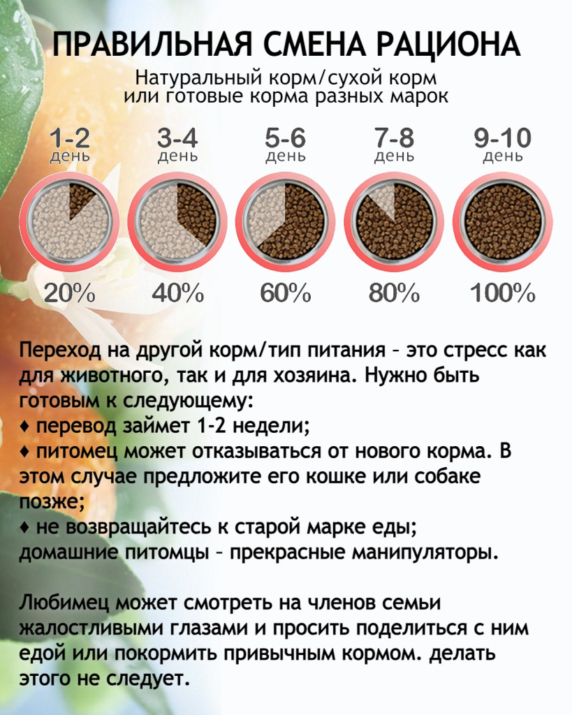 шаблон на инфогрфику смена корма.jpg шаблон на инфогрфику смена корма.jpg